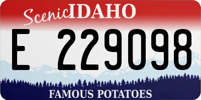 ID license plate E229098