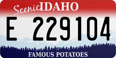 ID license plate E229104