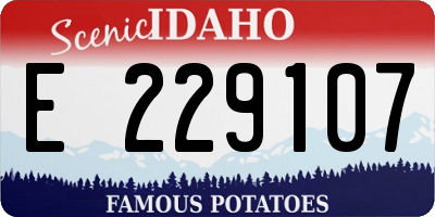 ID license plate E229107