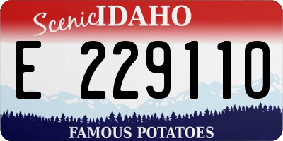 ID license plate E229110