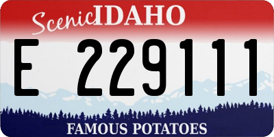 ID license plate E229111