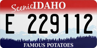ID license plate E229112