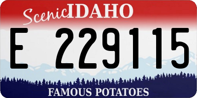 ID license plate E229115