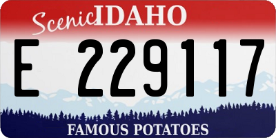 ID license plate E229117