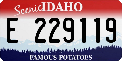 ID license plate E229119