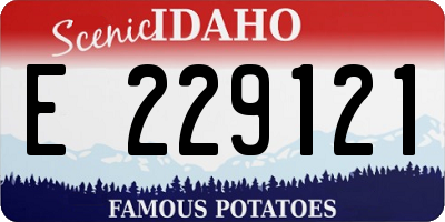 ID license plate E229121