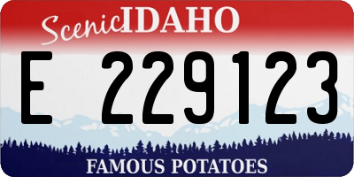 ID license plate E229123