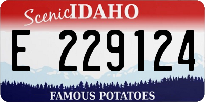 ID license plate E229124