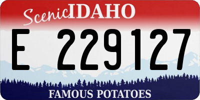 ID license plate E229127