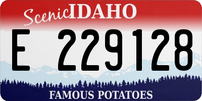 ID license plate E229128