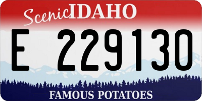 ID license plate E229130