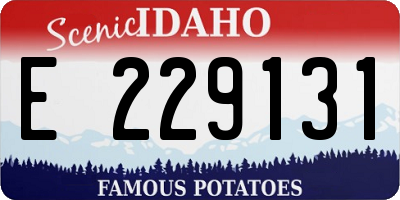 ID license plate E229131