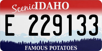 ID license plate E229133