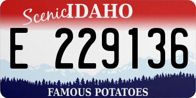 ID license plate E229136