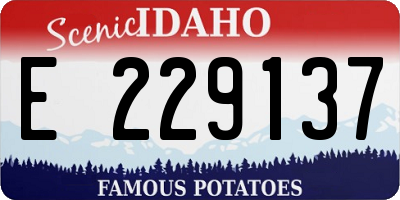 ID license plate E229137