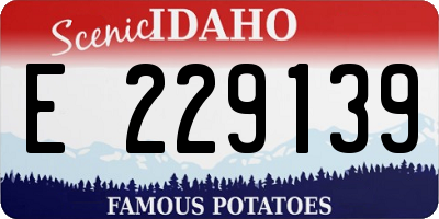 ID license plate E229139