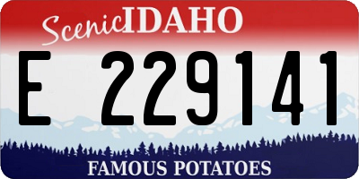 ID license plate E229141