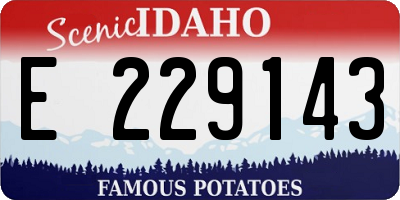 ID license plate E229143