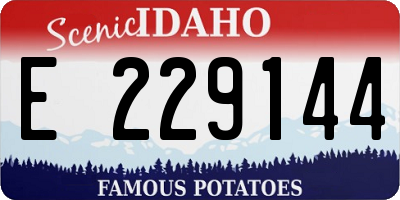ID license plate E229144