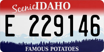 ID license plate E229146