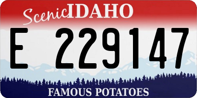 ID license plate E229147