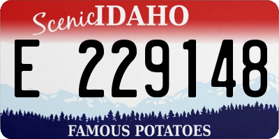 ID license plate E229148