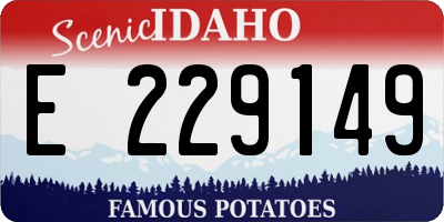 ID license plate E229149
