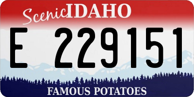 ID license plate E229151