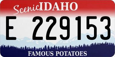 ID license plate E229153