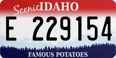 ID license plate E229154