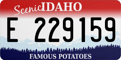 ID license plate E229159