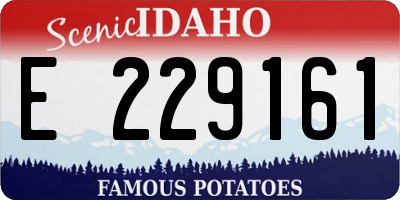 ID license plate E229161