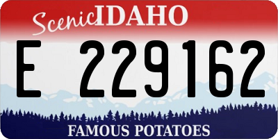 ID license plate E229162