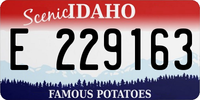 ID license plate E229163