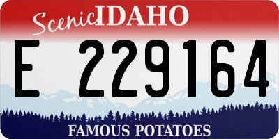 ID license plate E229164