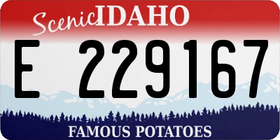 ID license plate E229167