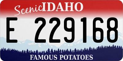 ID license plate E229168