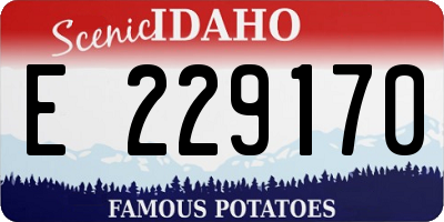 ID license plate E229170