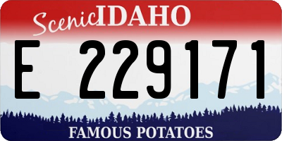 ID license plate E229171
