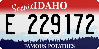 ID license plate E229172