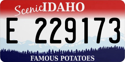 ID license plate E229173