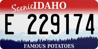 ID license plate E229174