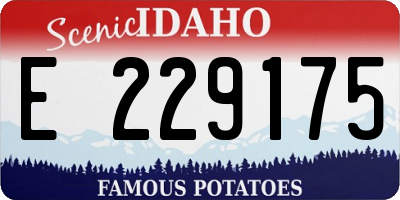ID license plate E229175