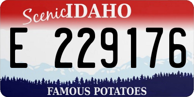 ID license plate E229176