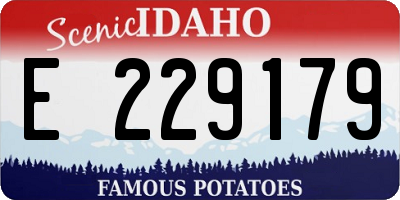 ID license plate E229179