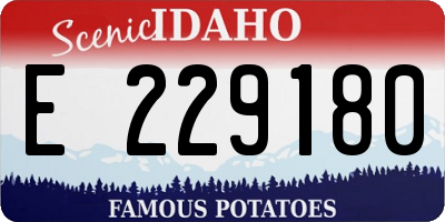 ID license plate E229180