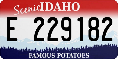 ID license plate E229182