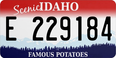 ID license plate E229184