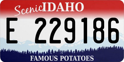 ID license plate E229186
