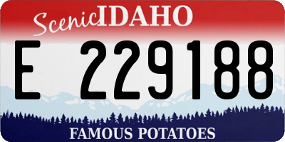 ID license plate E229188